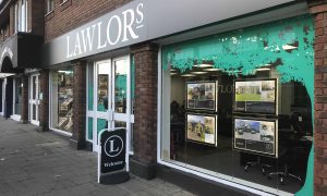 A Tree window graphic on a shop window display.